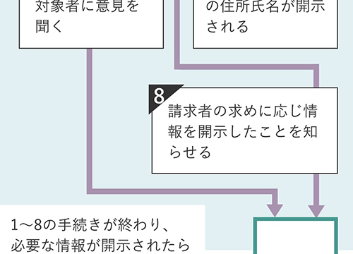 発信者情報開示請求の流れ（従来型）フロー図