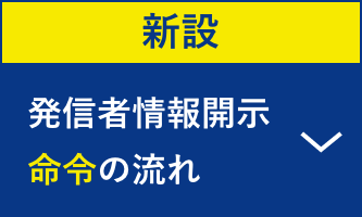 新設：発信者情報開示命令の流れ